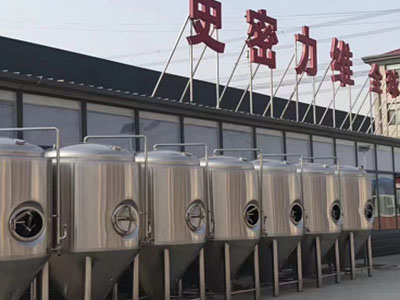 怒江精酿啤酒设备厂—如何判断精酿啤酒设备的密封件需要更换？